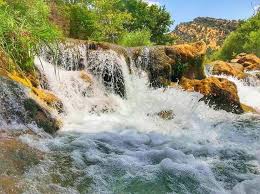 Valley Agricultural Fields